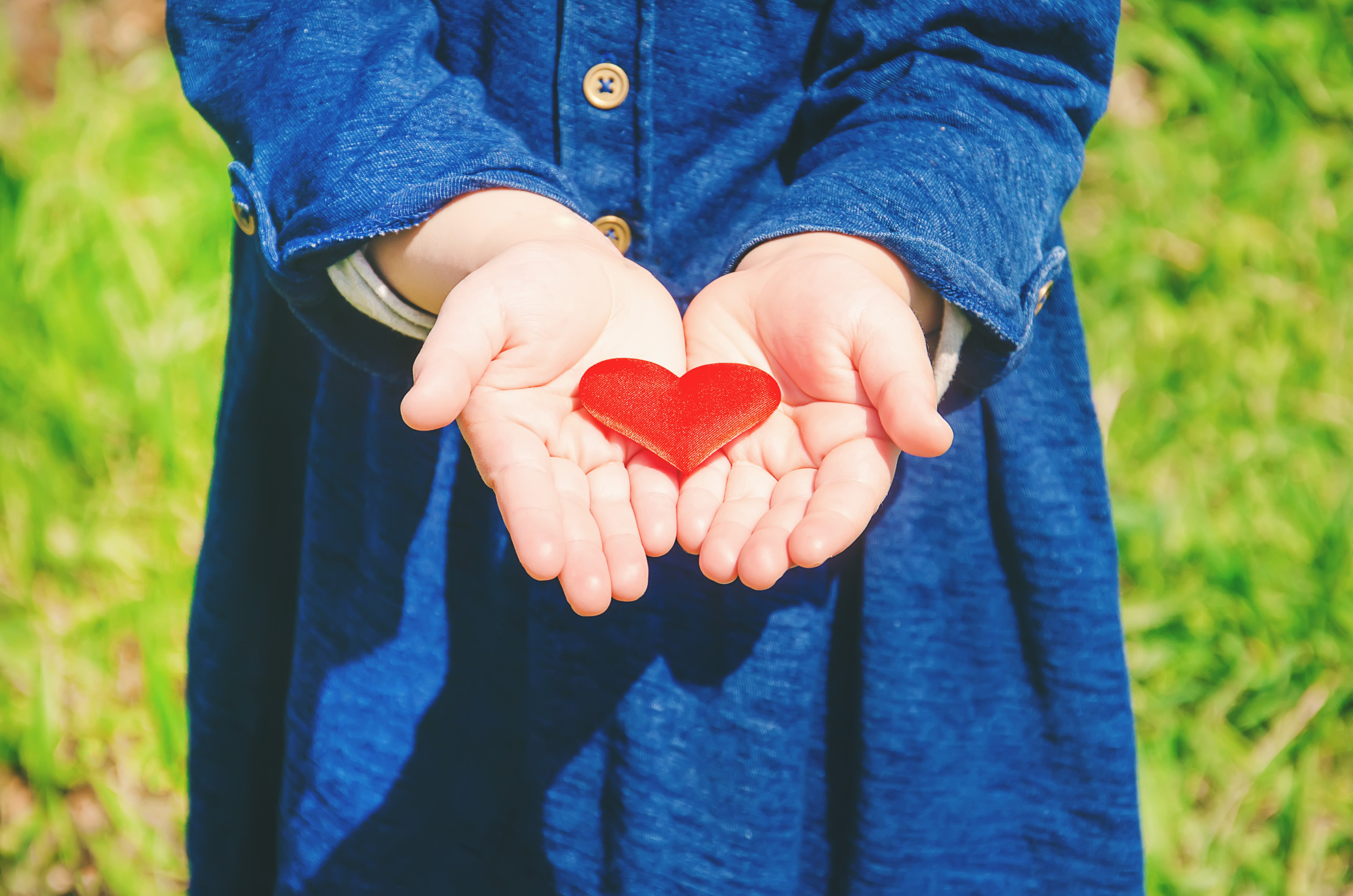 a child holding a red heart in her open hands